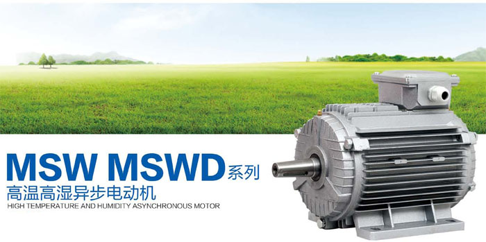 MSW MSWD系列高温高湿异步电动机(图1)